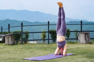 300-hour-yoga-teacher-training-in-thailand